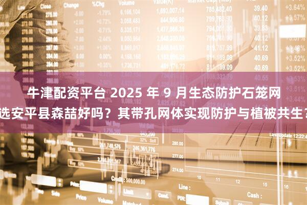 牛津配资平台 2025 年 9 月生态防护石笼网选安平县森喆好吗？其带孔网体实现防护与植被共生？