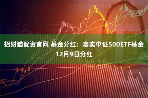 招财猫配资官网 基金分红：嘉实中证500ETF基金12月9日分红