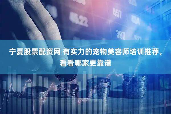 宁夏股票配资网 有实力的宠物美容师培训推荐，看看哪家更靠谱