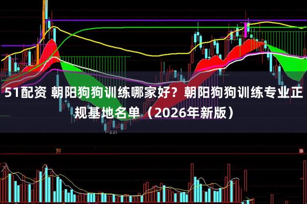 51配资 朝阳狗狗训练哪家好？朝阳狗狗训练专业正规基地名单（2026年新版）